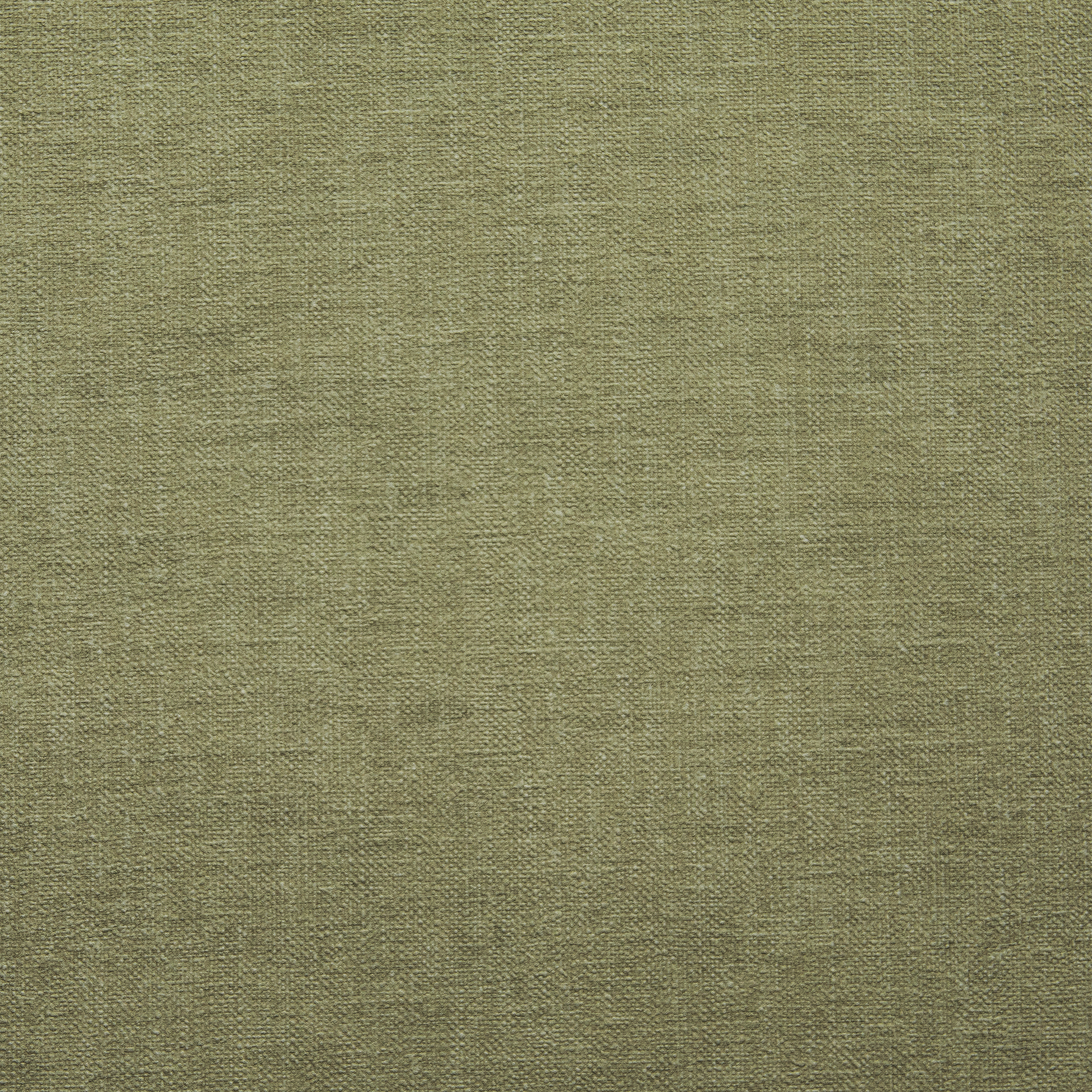 27267_Collage Uni_olive